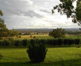 Wollundry Grove Olives - Lightning Ridge Tourism 1