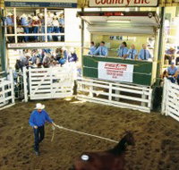 Gracemere Exhibition Complex - Lightning Ridge Tourism