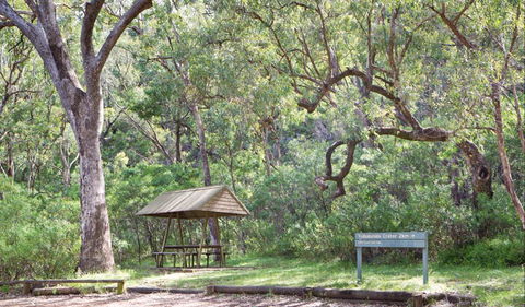Green Camp - Lightning Ridge Tourism 1