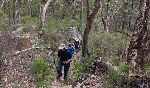 Yulludunida Walking Track - Lightning Ridge Tourism 3