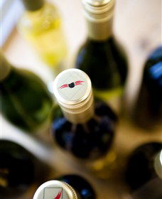 Charles Sturt University Winery Wagga Wagga - Lightning Ridge Tourism 2