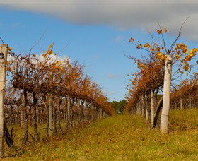 Charles Sturt University Winery Wagga Wagga - Lightning Ridge Tourism 3