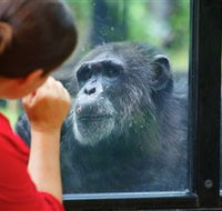 The Rockhampton Zoo - Lightning Ridge Tourism
