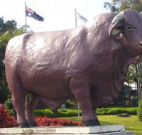 Rockhampton Bull Statues - Lightning Ridge Tourism