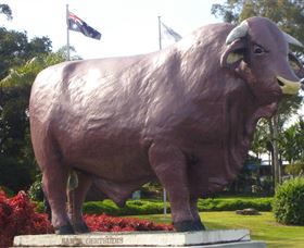 Rockhampton Bull Statues - Lightning Ridge Tourism 0
