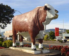 Rockhampton Bull Statues - Lightning Ridge Tourism 2