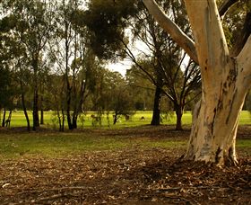 Benalla Golf Club - Lightning Ridge Tourism 2