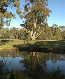 Benalla Golf Club - Lightning Ridge Tourism 5