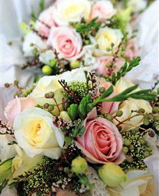 Blooms On Bridge - Lightning Ridge Tourism 7