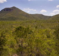 Kutini-Payamu Iron Range National Park CYPAL - Lightning Ridge Tourism