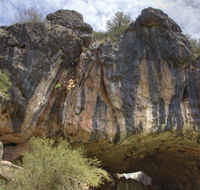 Borenore Karst Conservation Reserve - Lightning Ridge Tourism