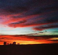 Springview Eco-Farm - Lightning Ridge Tourism
