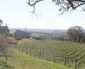 Cargo Road Wines - Lightning Ridge Tourism 1