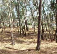 Chiltern-Mt Pilot National Park - Lightning Ridge Tourism