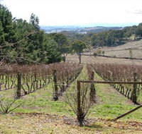 Habitat Vineyard - Lightning Ridge Tourism