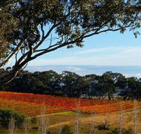 Bloodwood Estate - Lightning Ridge Tourism