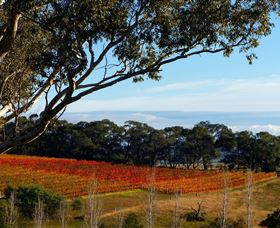Bloodwood Estate - Lightning Ridge Tourism 0