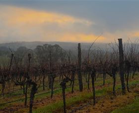 Bloodwood Estate - Lightning Ridge Tourism 1