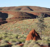 Camel Trail Millstream-Chichester National Park - Lightning Ridge Tourism
