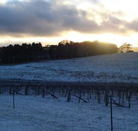 Charles Sturt University Winery - Lightning Ridge Tourism
