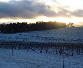 Charles Sturt University Winery - Lightning Ridge Tourism 0