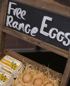A Slice Of Orange - Lightning Ridge Tourism 1