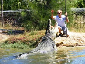 Koorana Crocodile Farm - Lightning Ridge Tourism 1
