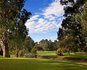 Commercial Golf Course - Lightning Ridge Tourism 0