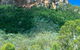 Cania Gorge National Park - thumb 1