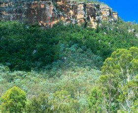 Cania Gorge National Park - Lightning Ridge Tourism 1