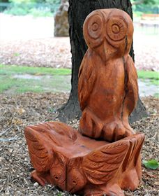 Albury Botanic Gardens - Lightning Ridge Tourism 7