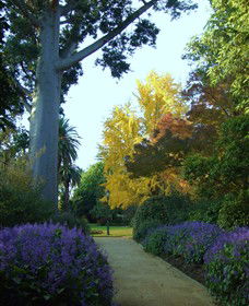 Albury Botanic Gardens - Lightning Ridge Tourism 4