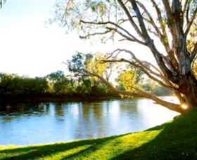 Albury - Murray River Precinct - Lightning Ridge Tourism 0
