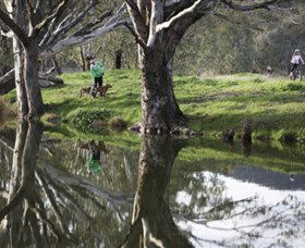 Albury - Murray River Precinct - Lightning Ridge Tourism 3