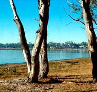 Lake Broadwater Conservation Park - Lightning Ridge Tourism