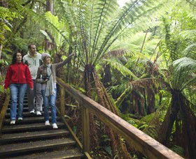 Otway Fly Treetop Adventures - Lightning Ridge Tourism 0