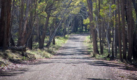 Coolah Tops National Park - Lightning Ridge Tourism 1