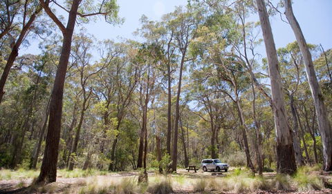 Coolah Tops National Park - Lightning Ridge Tourism 0