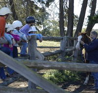 Harlow Park Horse Riding - Lightning Ridge Tourism