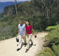 Blue Mountains Walking Tracks - Lightning Ridge Tourism