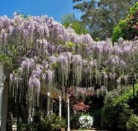 Nooroo Gardens - Lightning Ridge Tourism
