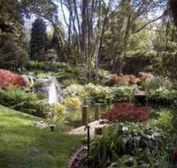 Windyridge Garden Mount Wilson - Lightning Ridge Tourism