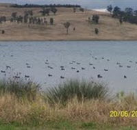 Lake Liddell Recreation Area - Lightning Ridge Tourism