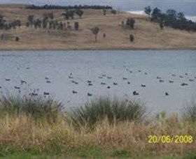 Lake Liddell Recreation Area - Lightning Ridge Tourism 0