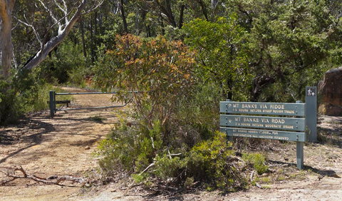 Mount Banks Road Cycle Route - Lightning Ridge Tourism 1