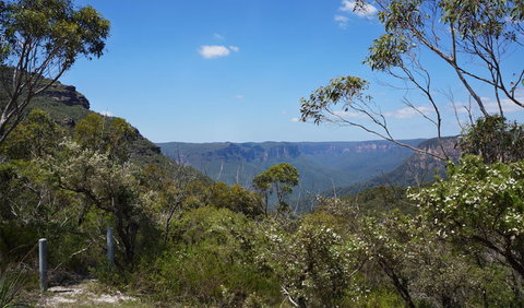 Mount Banks Road Cycle Route - Lightning Ridge Tourism 2