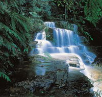 Leura Cascades - Lightning Ridge Tourism