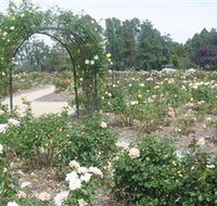 Victoria Park Rose Garden - Lightning Ridge Tourism