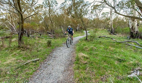 Thredbo Valley Track - Lightning Ridge Tourism 1