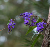 Mann River Nature Reserve - Lightning Ridge Tourism